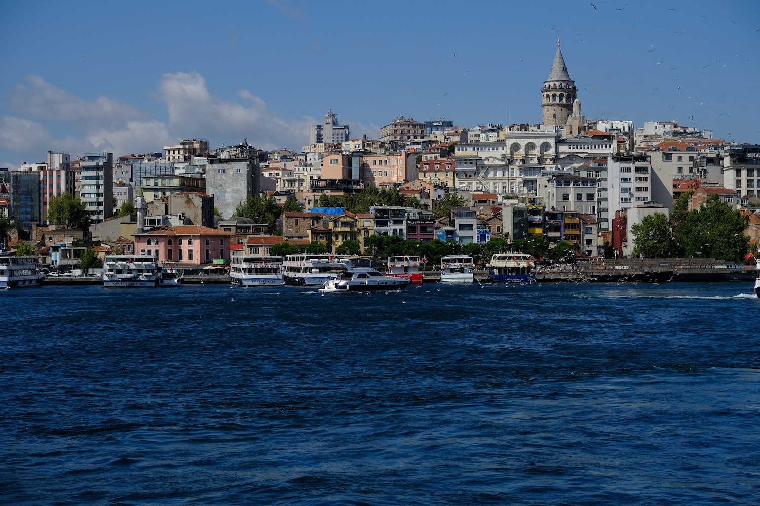 Vista della città con la celebre torre di Galata.