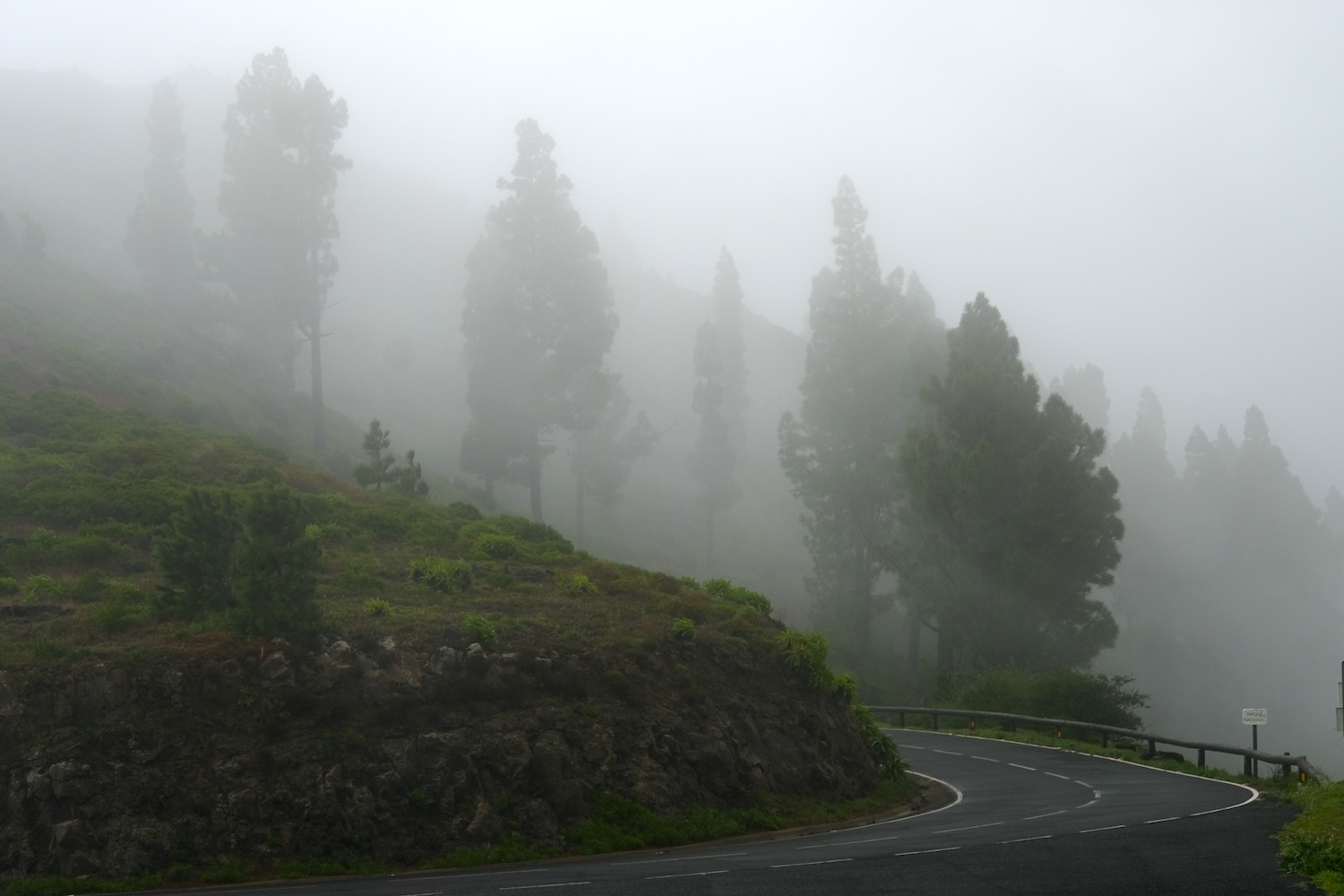 La nebbia e le nuvole basse regalano al parco del Garajonay un aspetto misterioso ed affascinante.