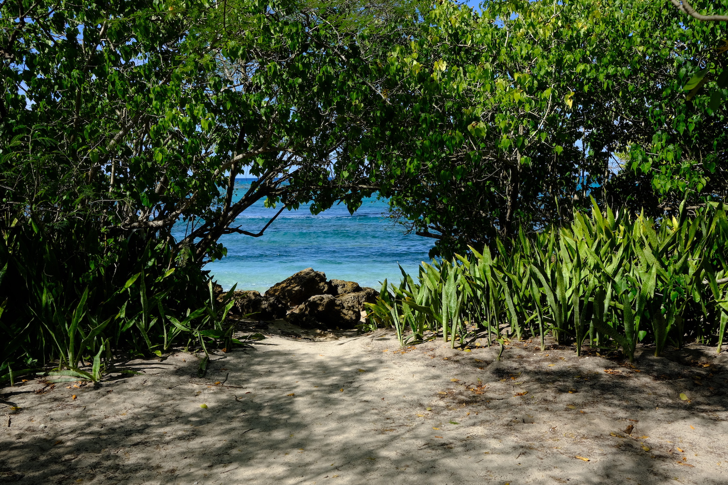 Scorcio della frequentata spiaggia caraibica a nord di Port-Louis