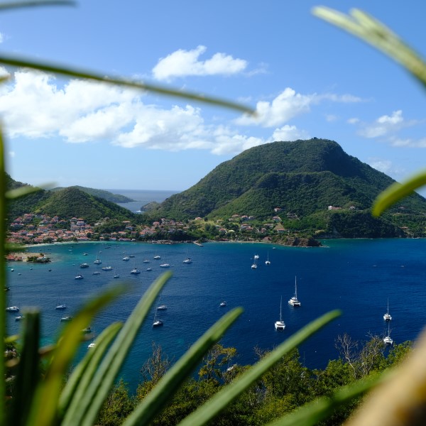 L’arcipelago fiorito di Les Saintes