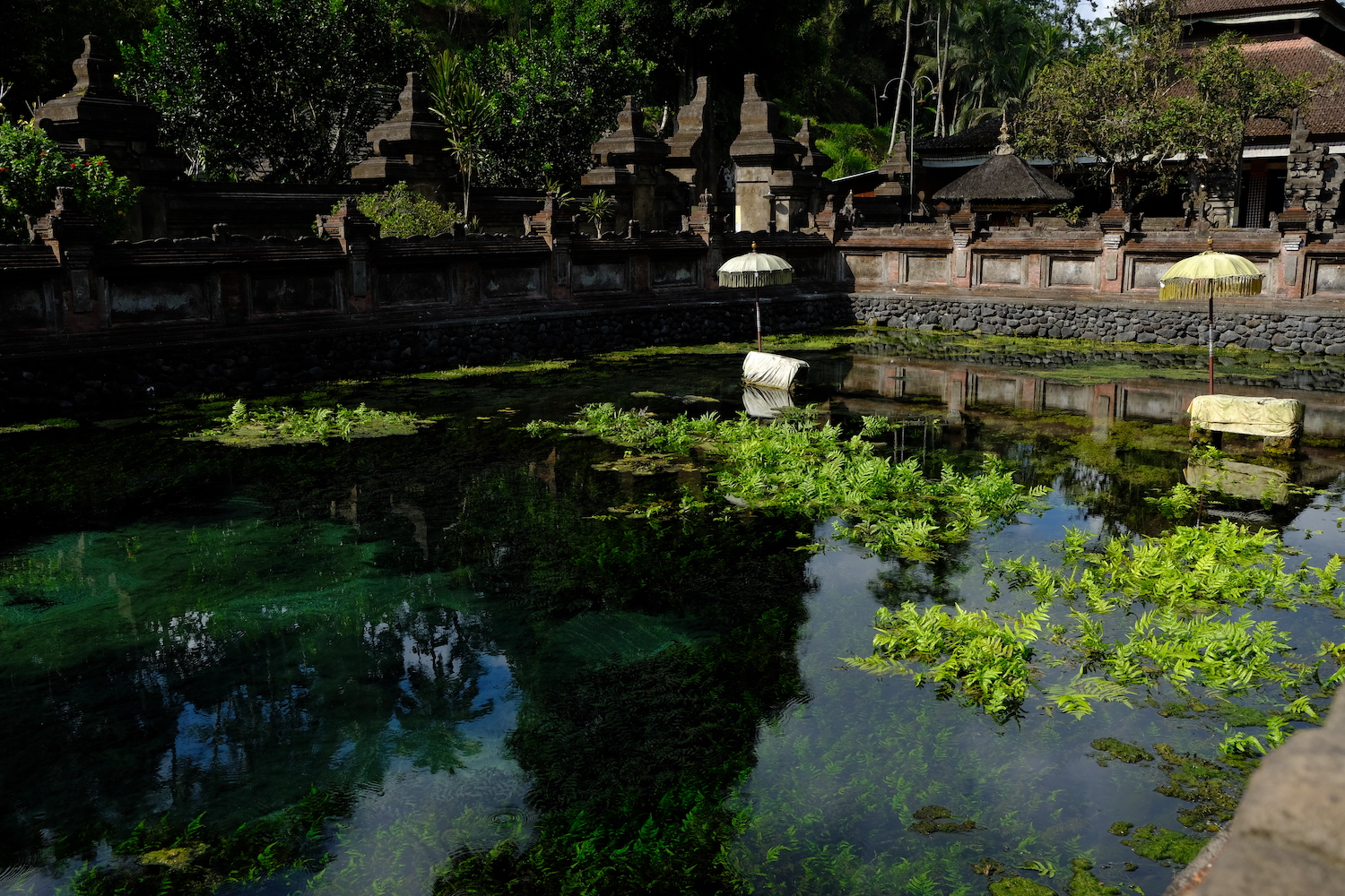 Porzione del giardino acquatico di Tirta Empul. 