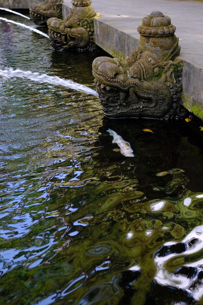 Dettaglio della vasca di purificazione.