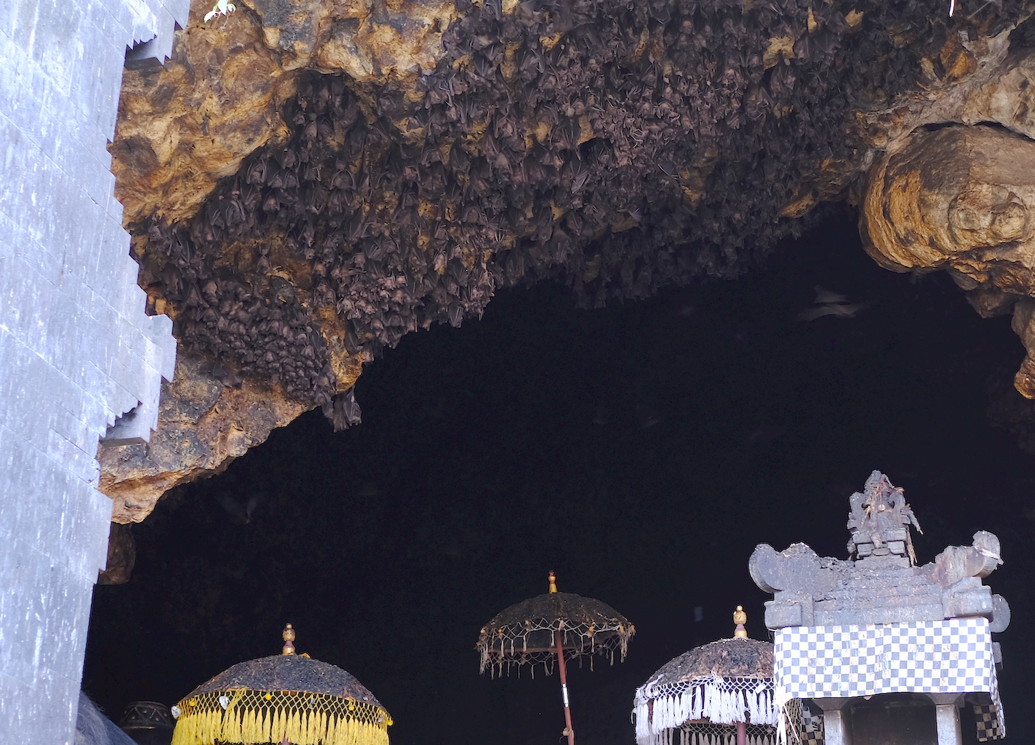 La grotta del piccolo tempio di Goa Lawah è l'habitat di una miriade di pipistrelli.