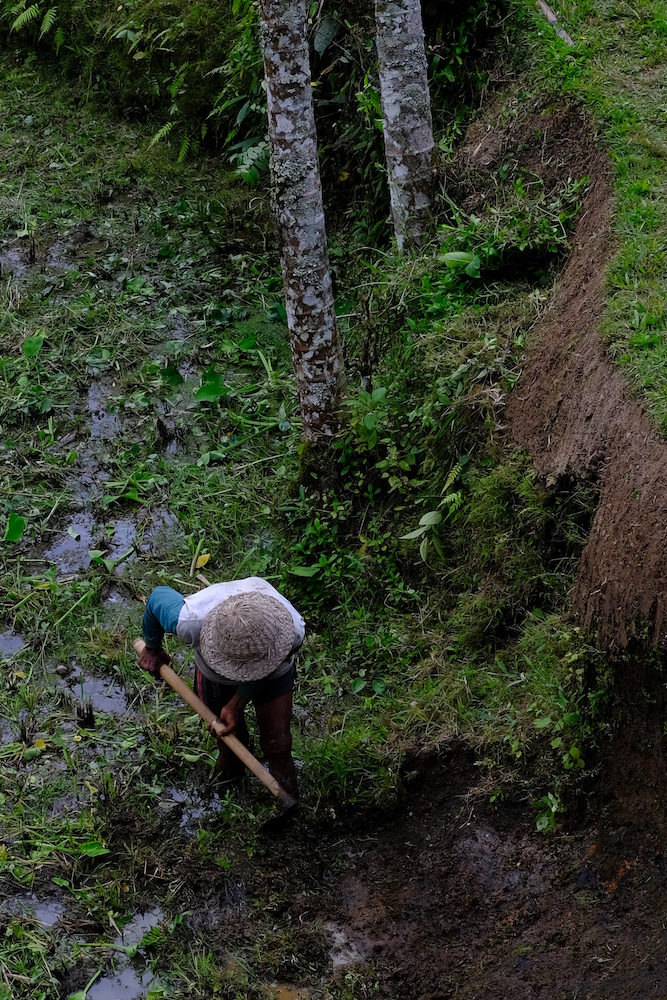 Nei Subak l'agricoltore balinese considera quindi la sua terra come un dono sacro da proteggere e curare.