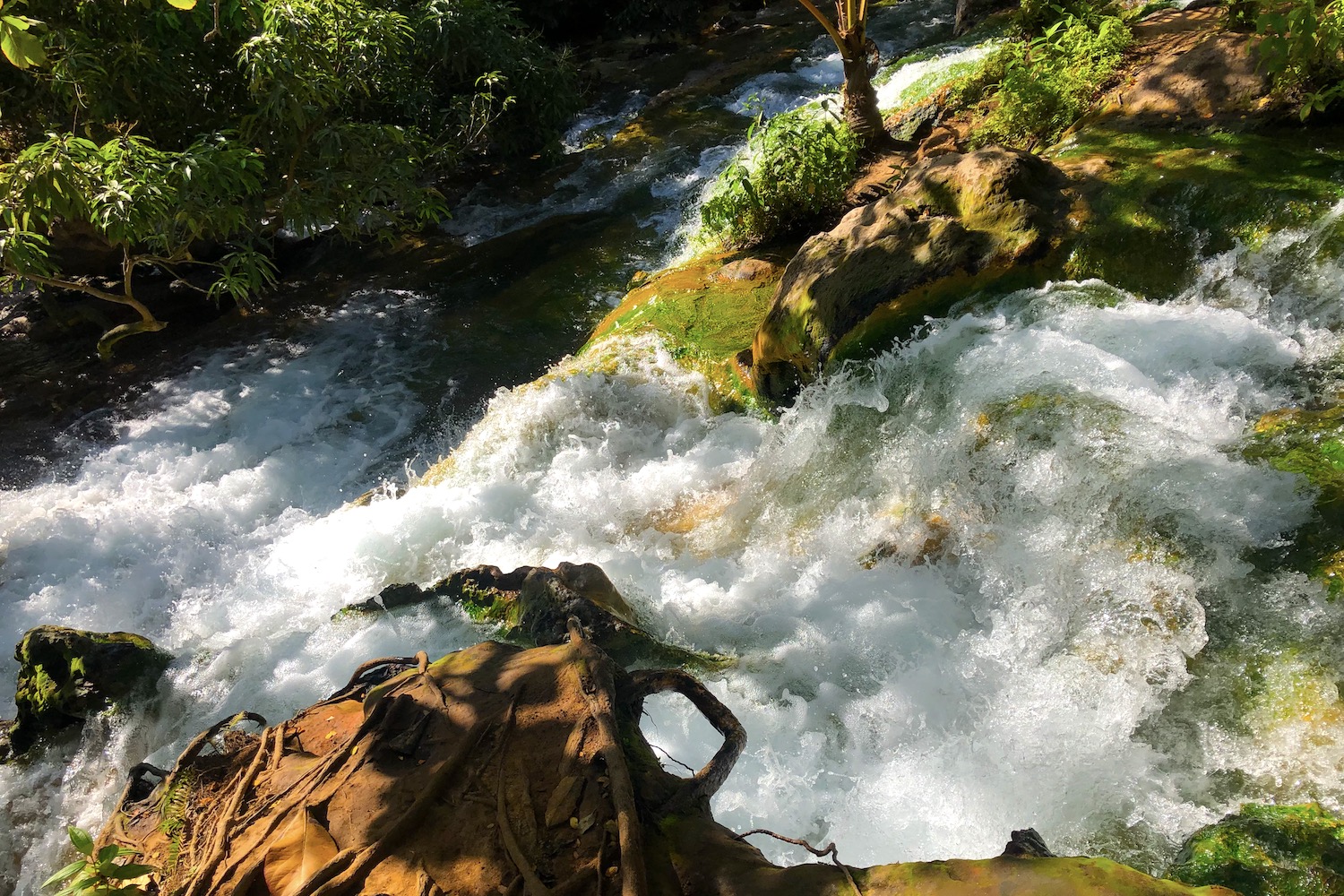 Mangeria hot springs.