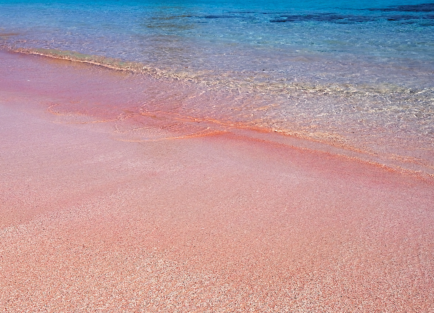 Il colore rosa della spiaggia è da ricercare nell'azione erosiva millenaria del mare sulle formazioni di corallo rosso di questo arcipelago.