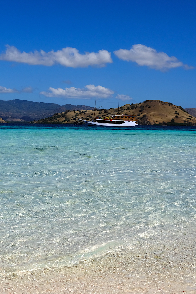 Il mare cristallino di Komodo bagna le spiagge bianche di finissimi coralli.