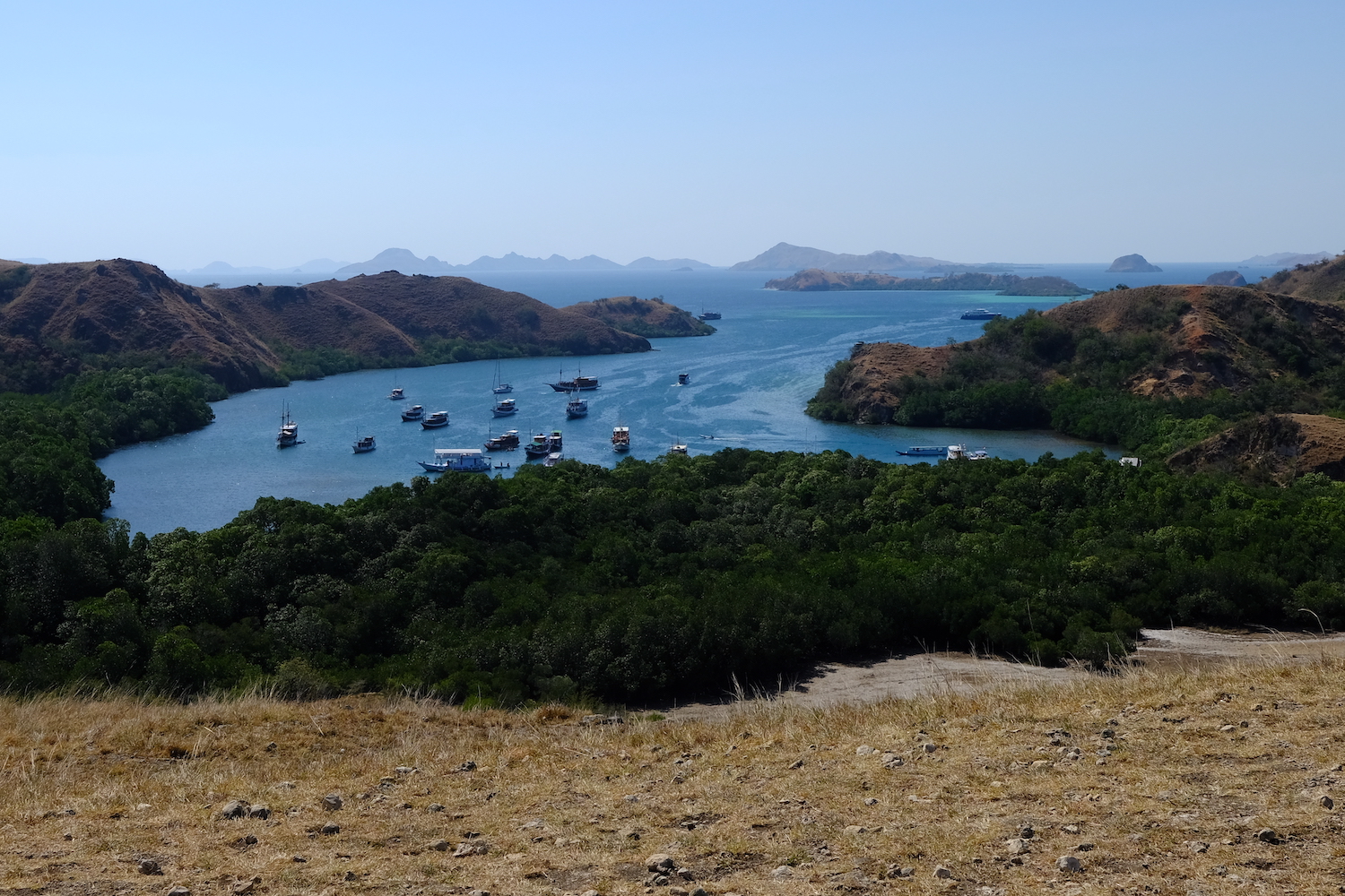 La baia dell'isola di Komodo, circondata dalla foresta di mangrovie.