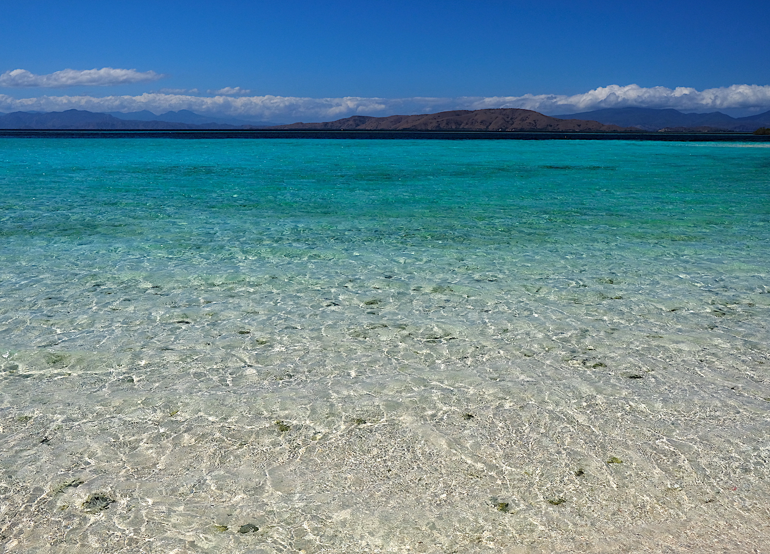 Il fantastico colore del mare delle Komodo è semplicemente da favola!