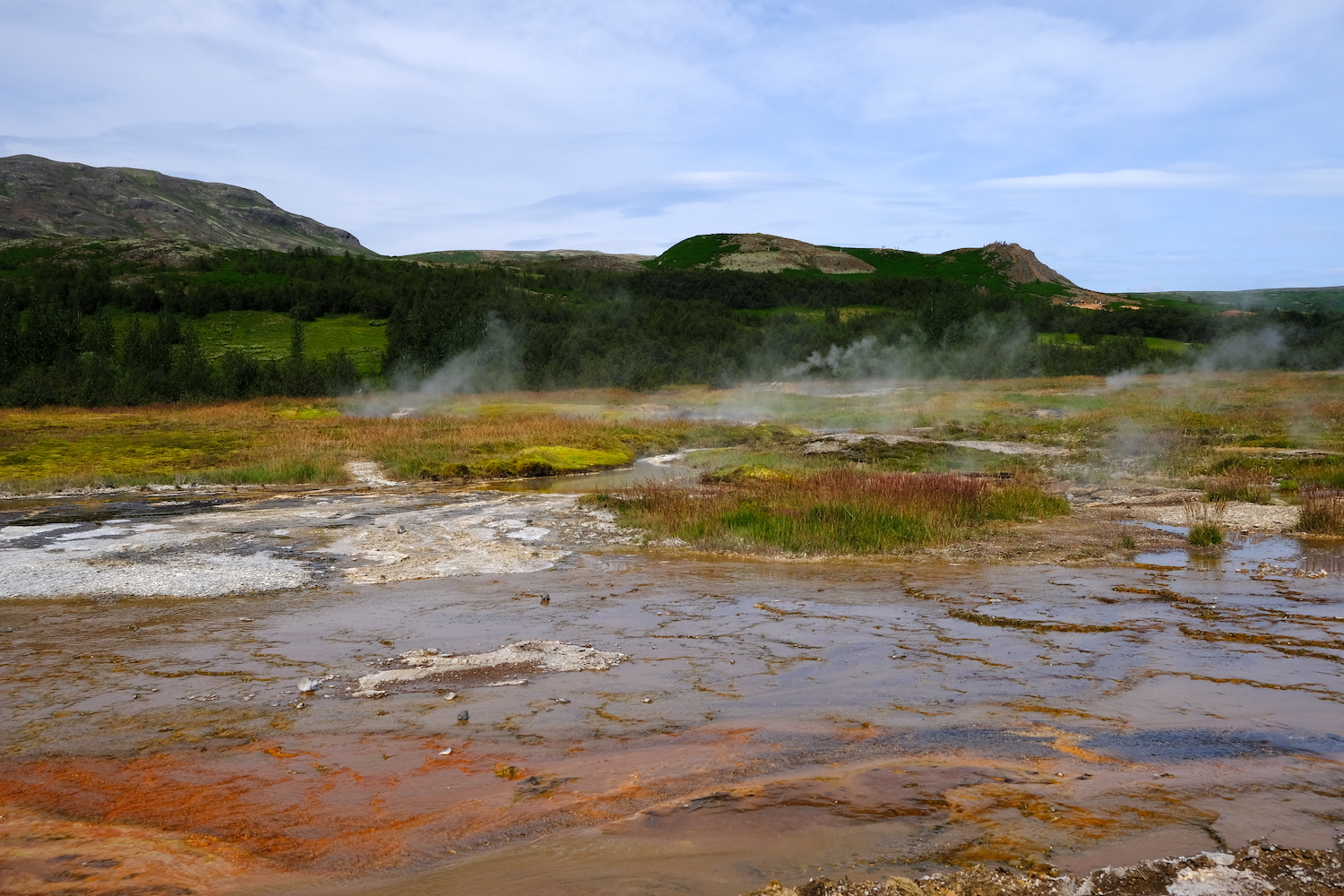  Dal campo geotermico si innalzano i vapori che formano 