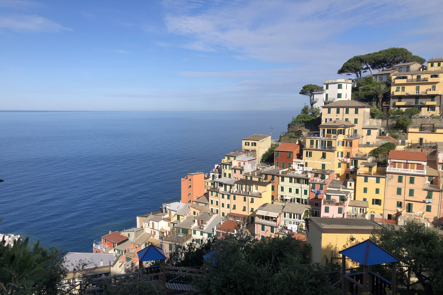 Riomaggiore e le sue case, che come piante cercano la luce arrampicandosi sulla collina.