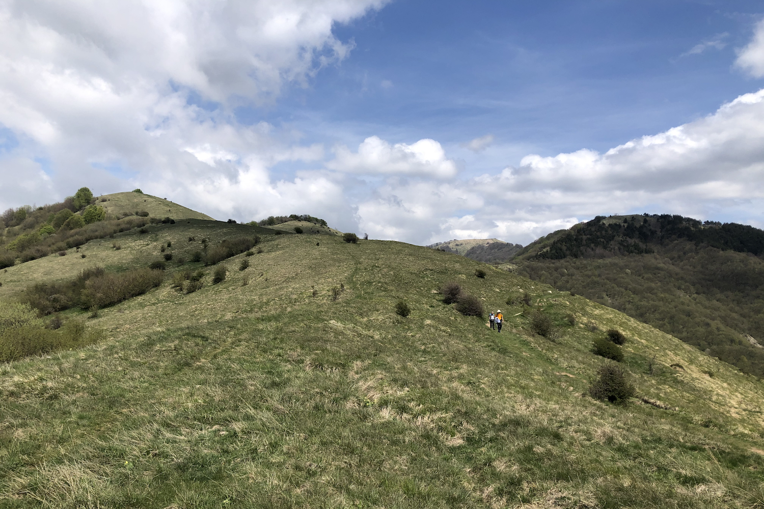 I prati che si incontrano all'inizio del percorso al passo dell'incisa.