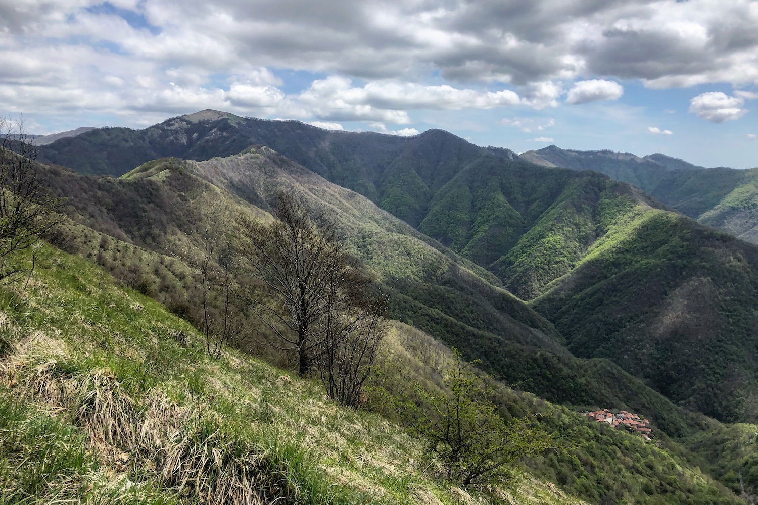 Il risveglio primaverile della natura nelle valli dell'Antola.