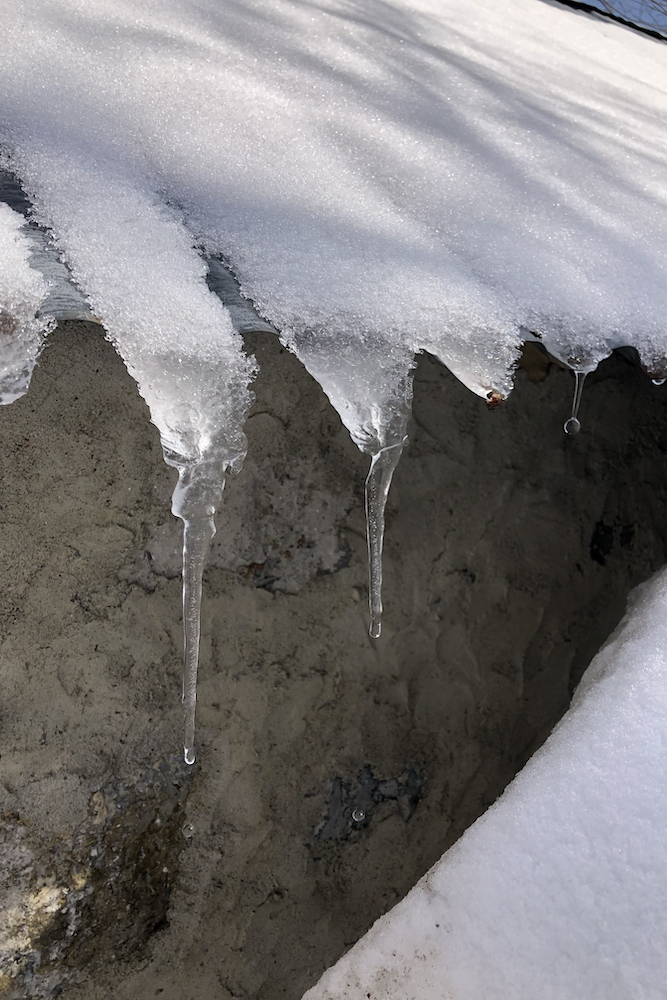 Ghiaccioli che spuntano dal tetto di un rudere, nei pressi del rifugio Antola.