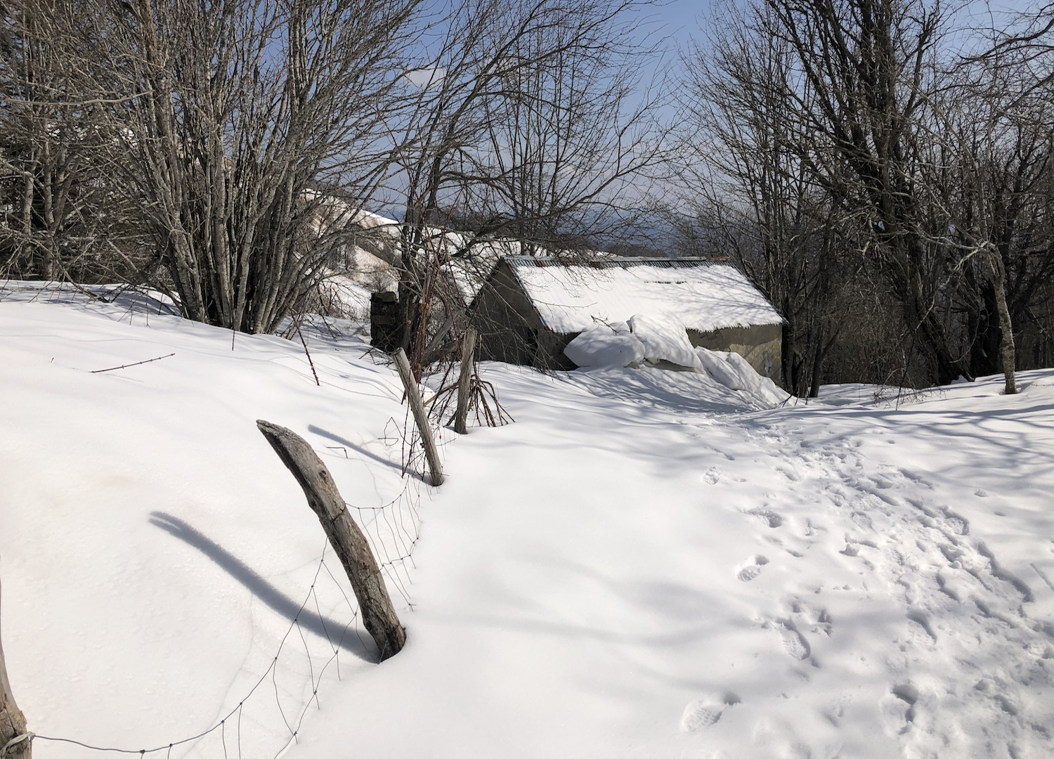 Il candido manto di neve che ricopre prati e boschi nei dintorni della vetta del monte Antola.