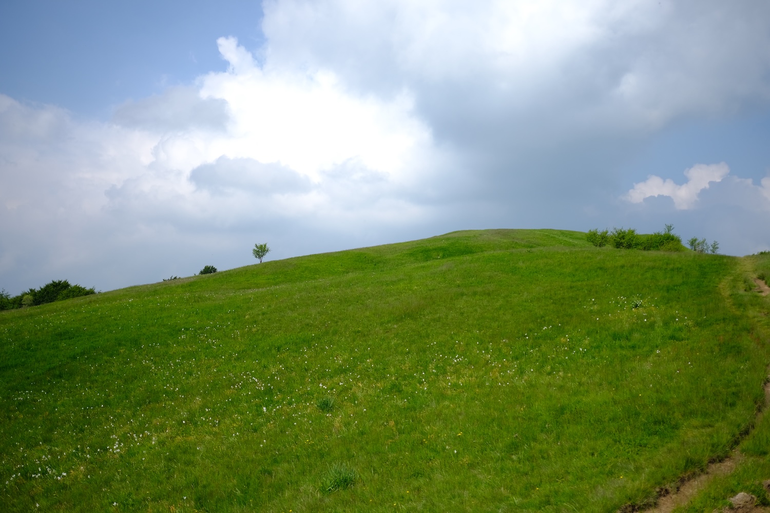 Le scenografiche zone prative in cima