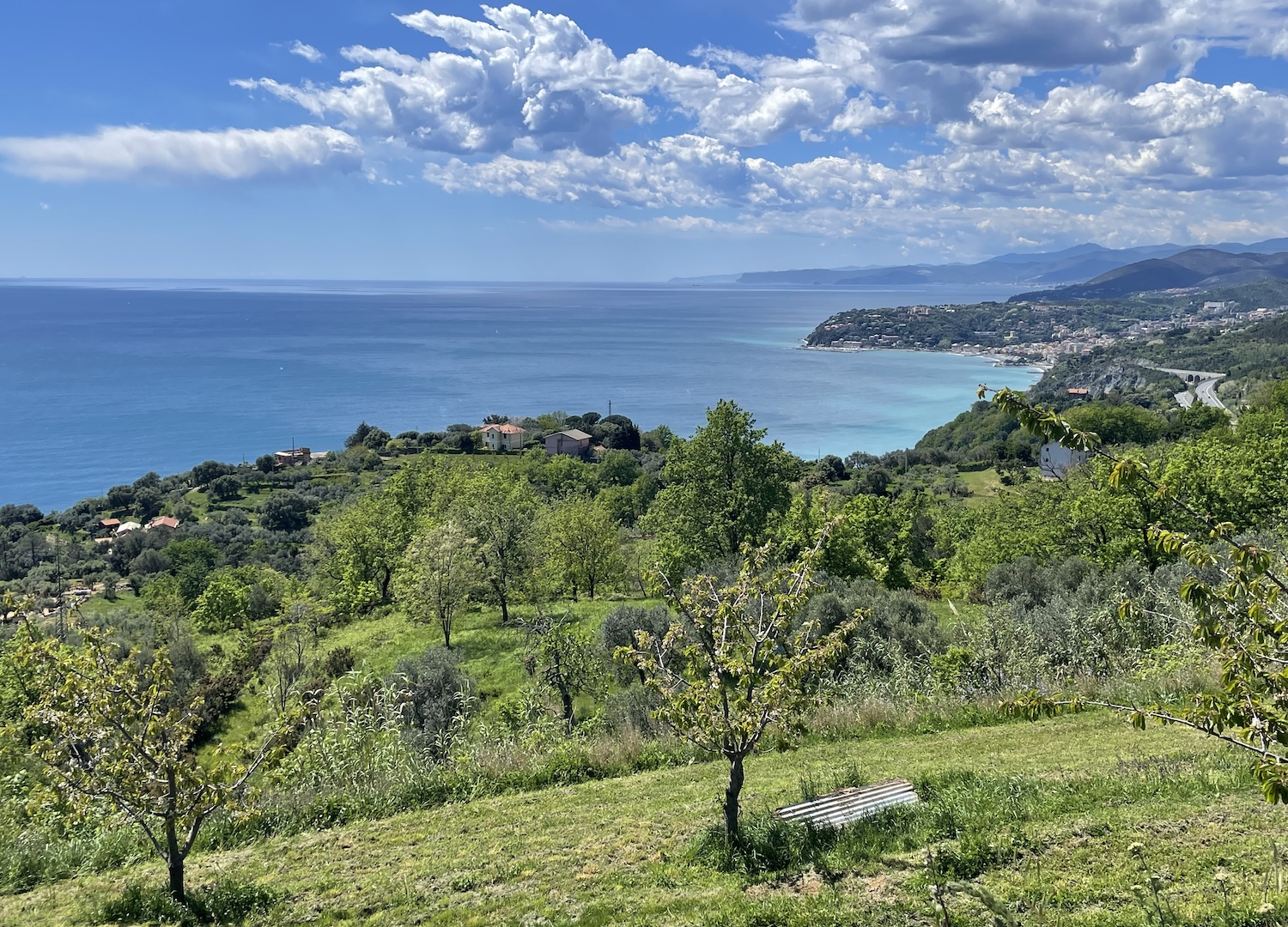 Il mar Ligure visto da Crevari.