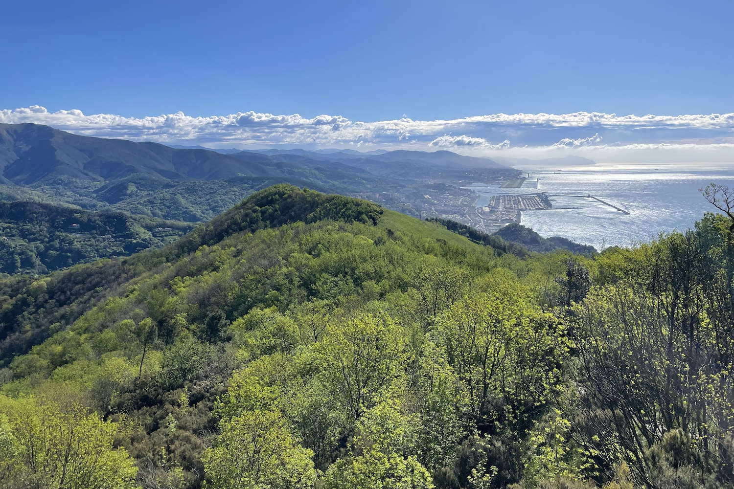 Il bosco sopra Crevari indossa il verde del nuovo anno.