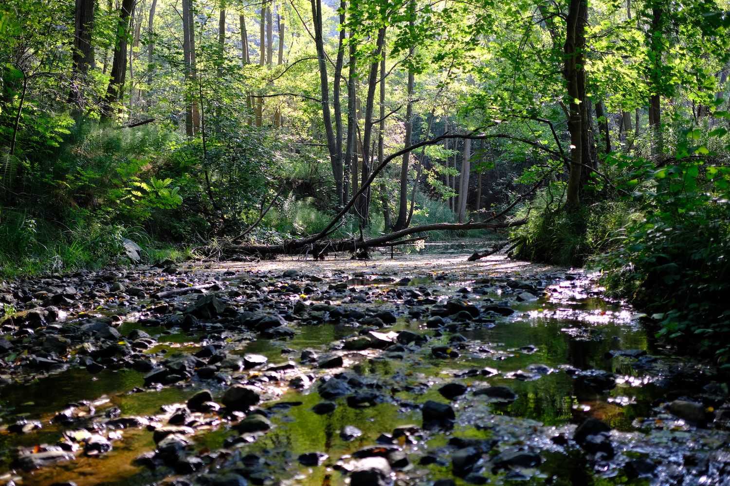 Rio delle Brigne, un tempo fondale del lago.