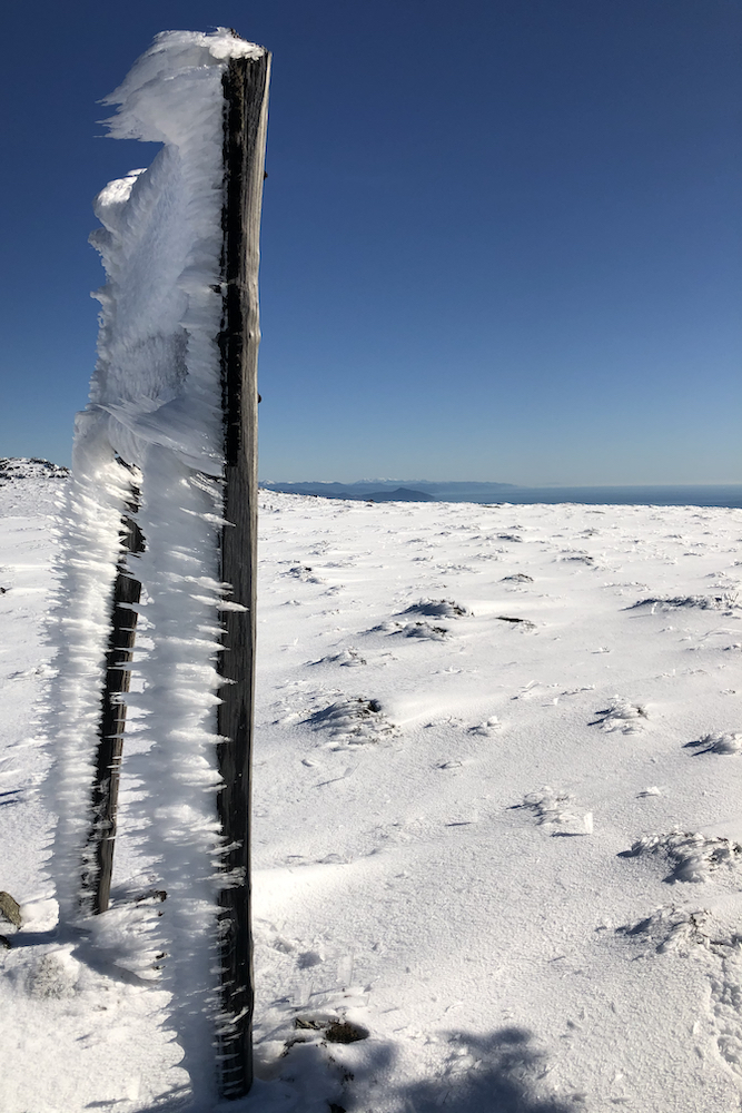 Aghi di ghiaccio sul crinale dove passa l'Alta via dei monti Liguri, formatisi per l'effetto della galaverna.