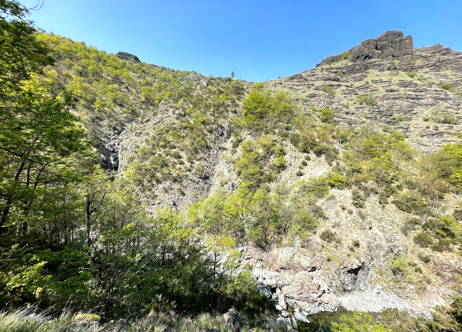 Le guglie rocciose che svettano in val Gargassa.