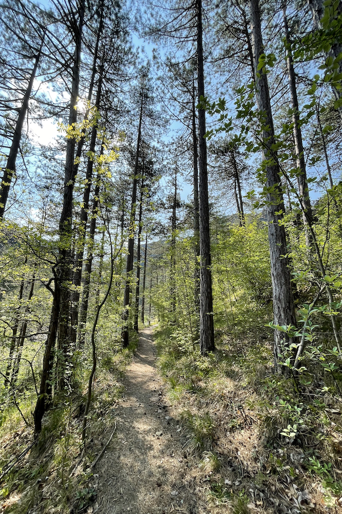 Il tratto del sentiero che delimita il confine con cascina Monterosso.