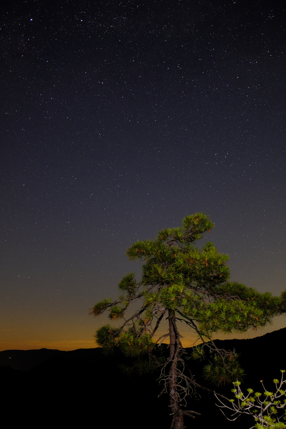 La volta celeste vista dalla val Gargassa durante una sera d'estate.