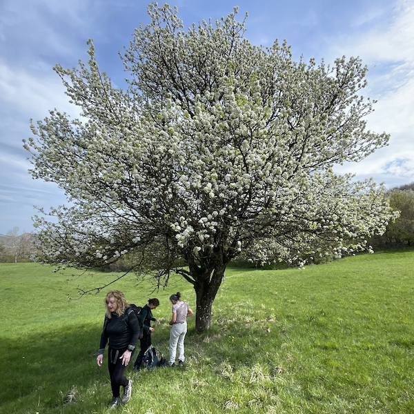 Primavera in val Borbera