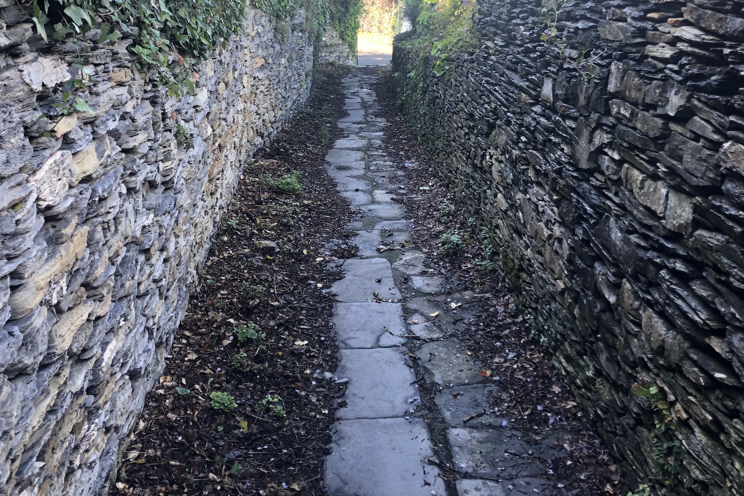 Tipica Crêuza ligure che si fa strada tra case ed ulivi.