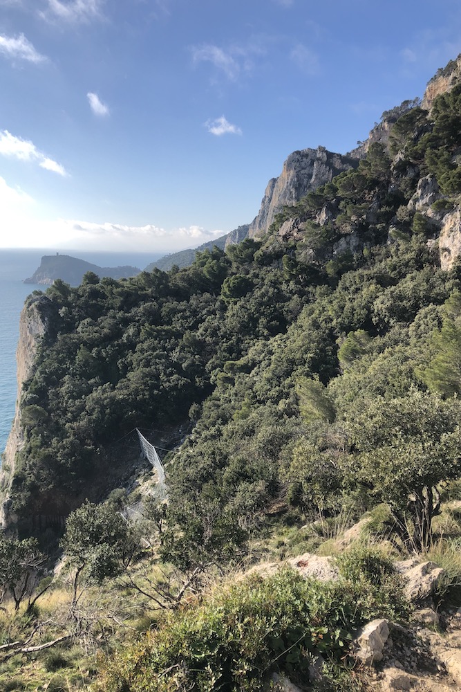 Altro scorcio del sentiero del Pellegrino, in direzione di punta Crena.