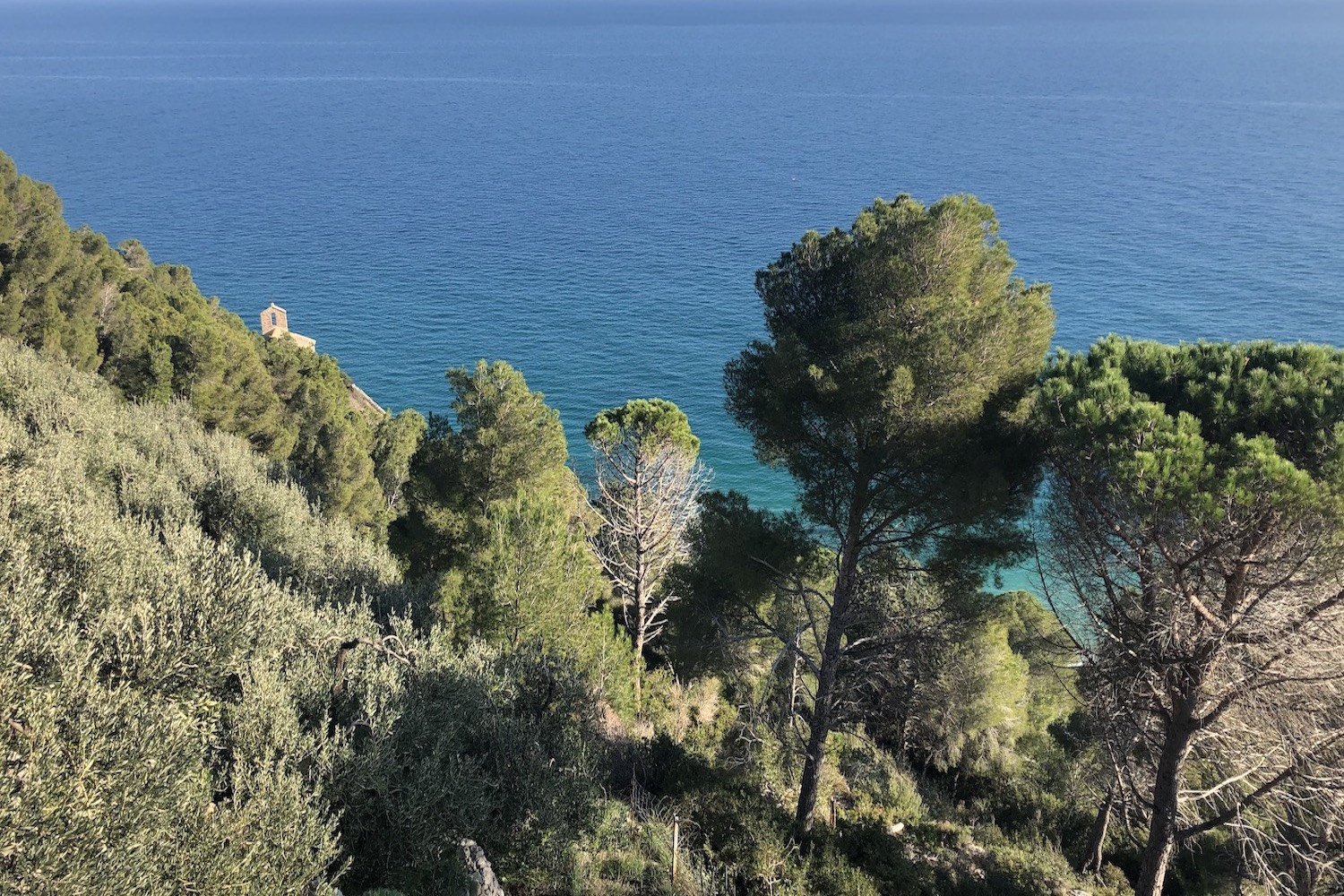 Macchia mediterranea nella quale fa capolino la cappelletta di San Lorenzo.