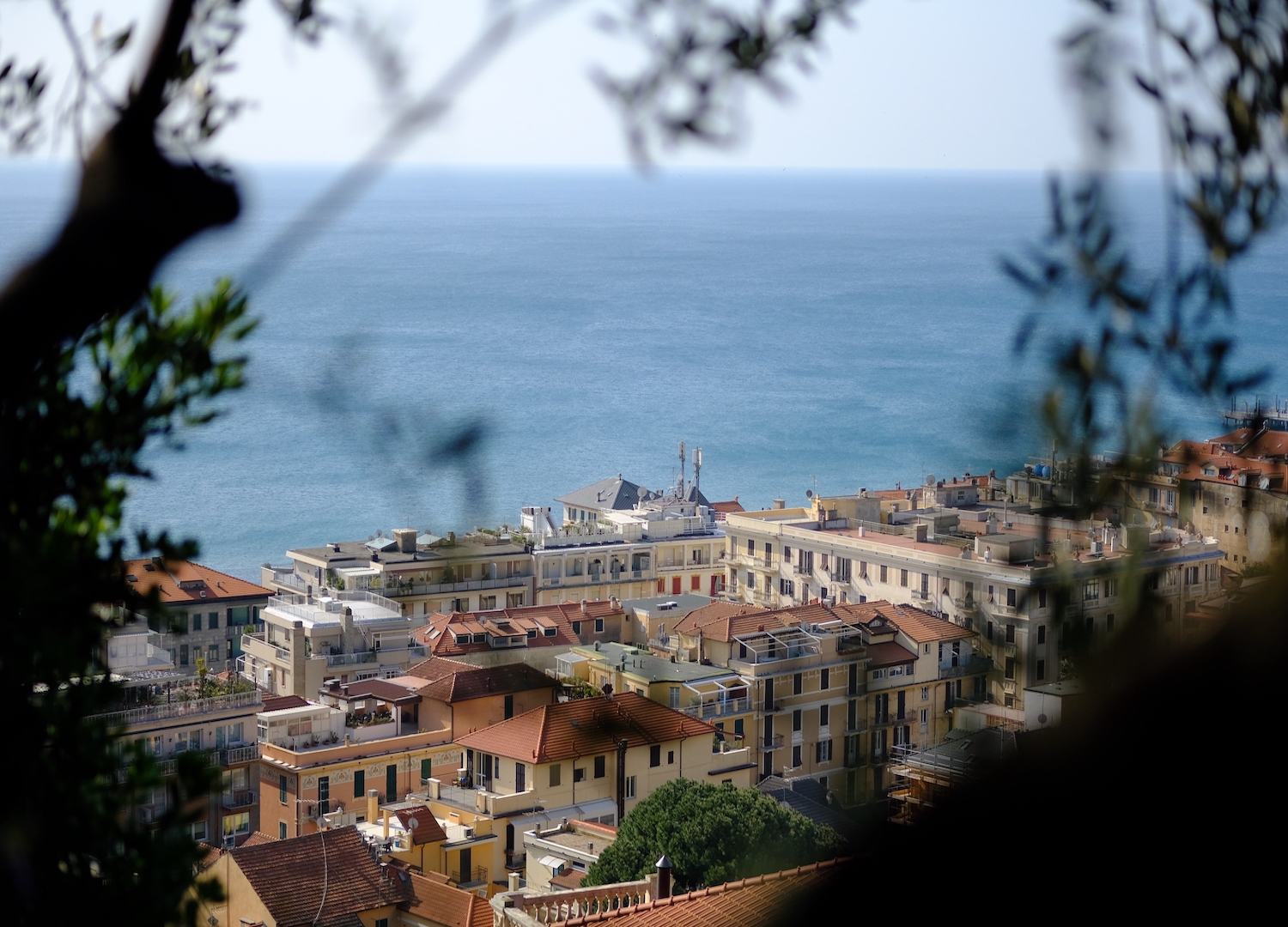 Sciorcio di Alassio dai giardini di villa della Pergola