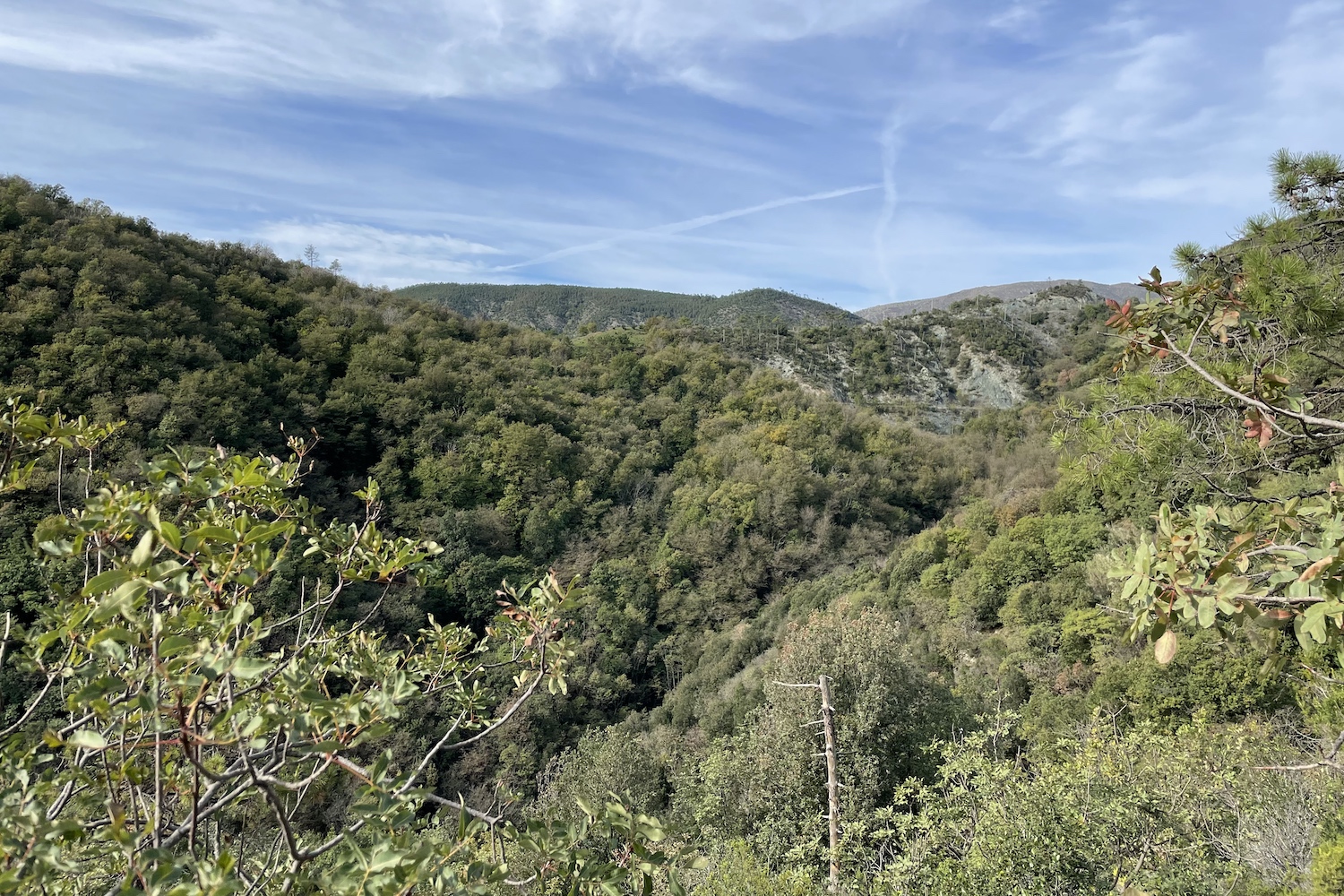 Le alture di Genova Borzoli.