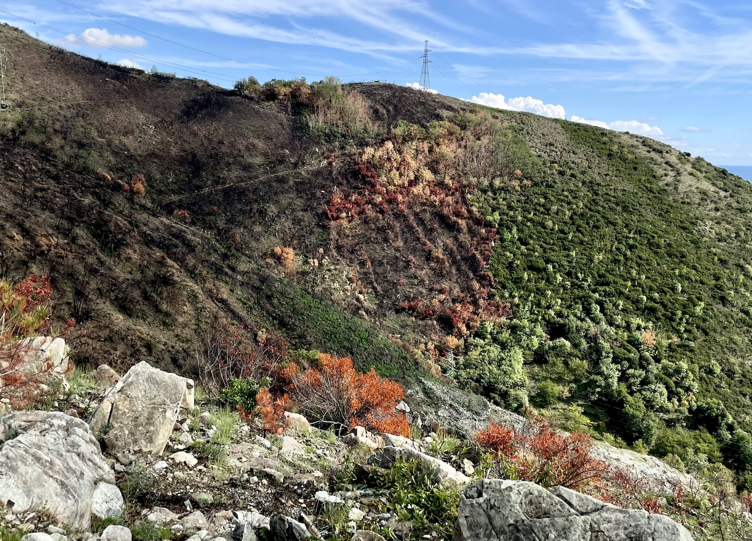 Conseguenze del vasto incendio che si è sviluppato nel 2022, a causa di alcuni moschetti nascosti e dimenticati a fine della II guerra mondiale.