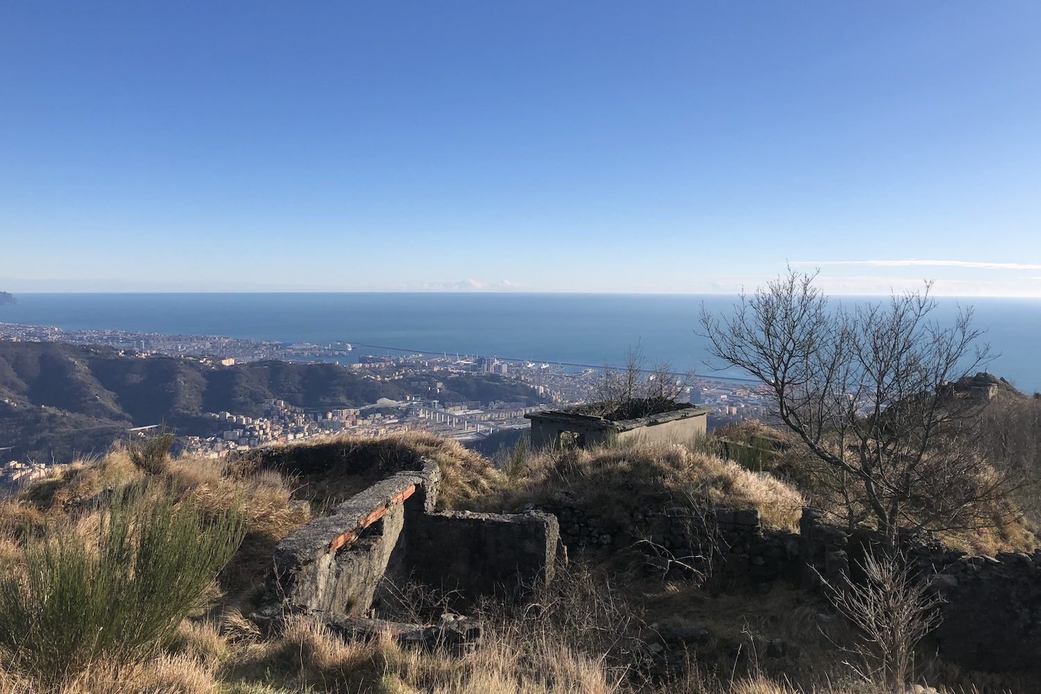 Tratto costiero di Genova visto dal monte Teiolo.