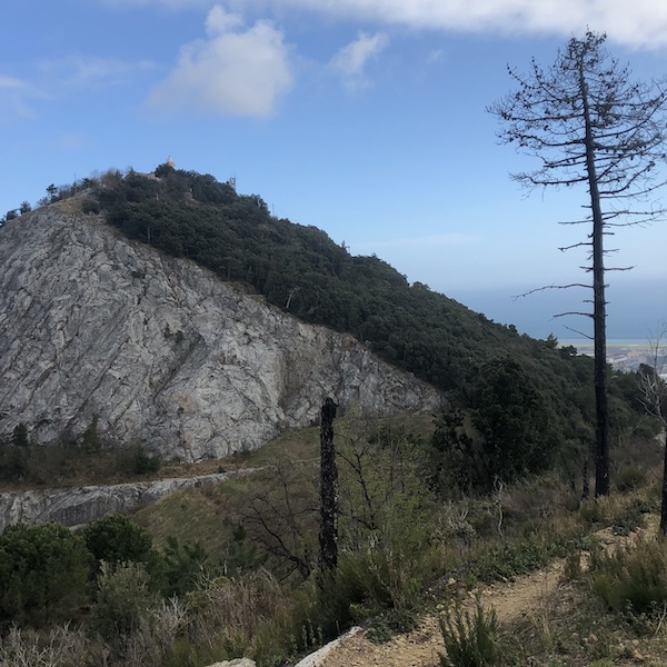 Il monte Gazzo da Sestri Ponente