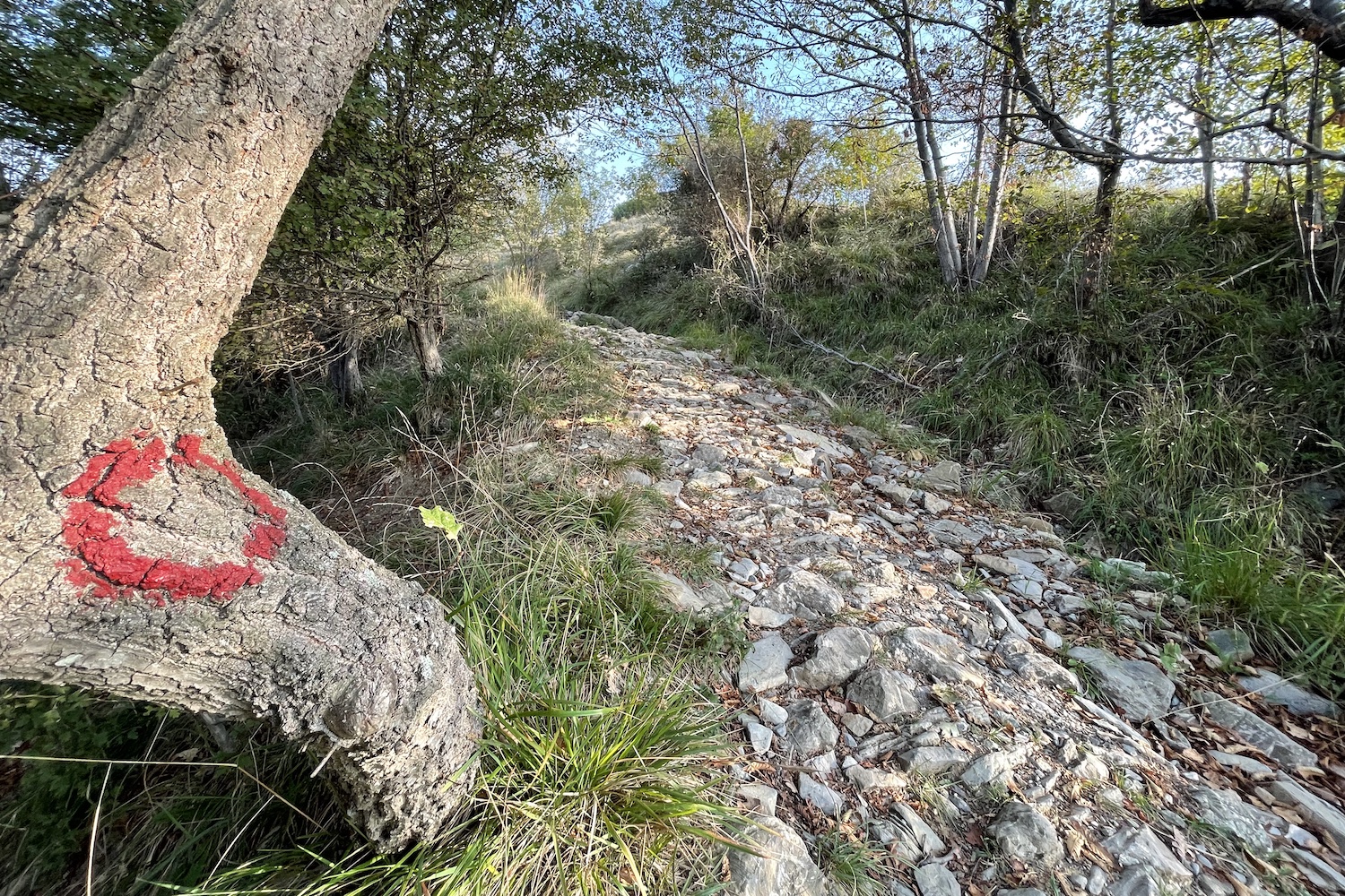 Tracciato che dal forte Sperone raggiunge il forte Fratello Minore.