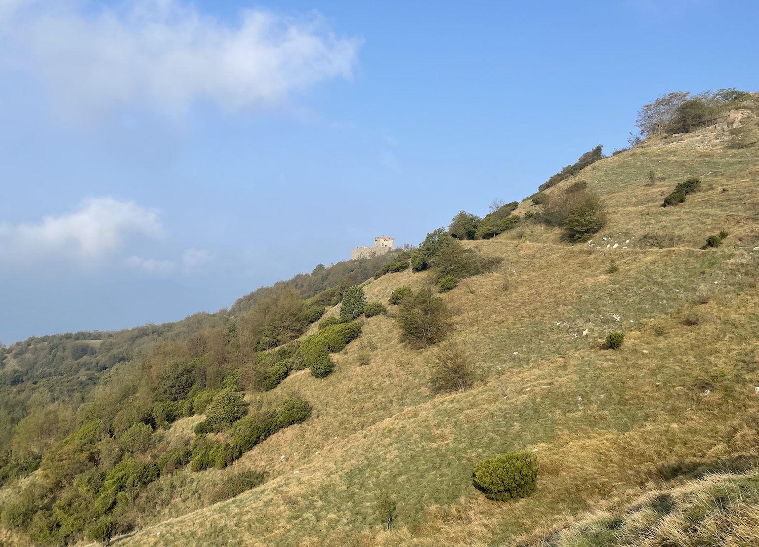 Dolci pendii della zona del Parco delle Mura.