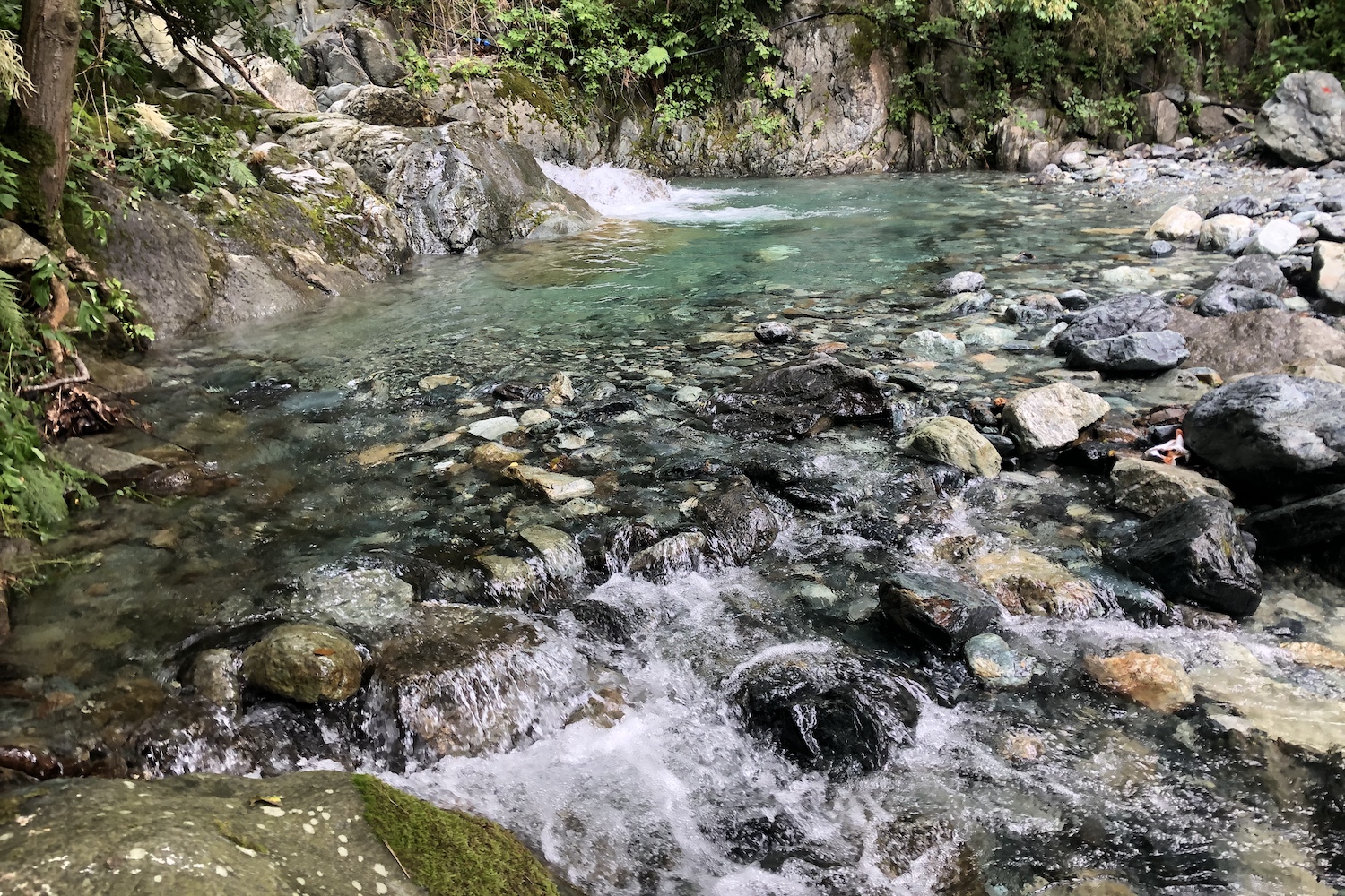 Le acque cristalline del rio Gandolfi.