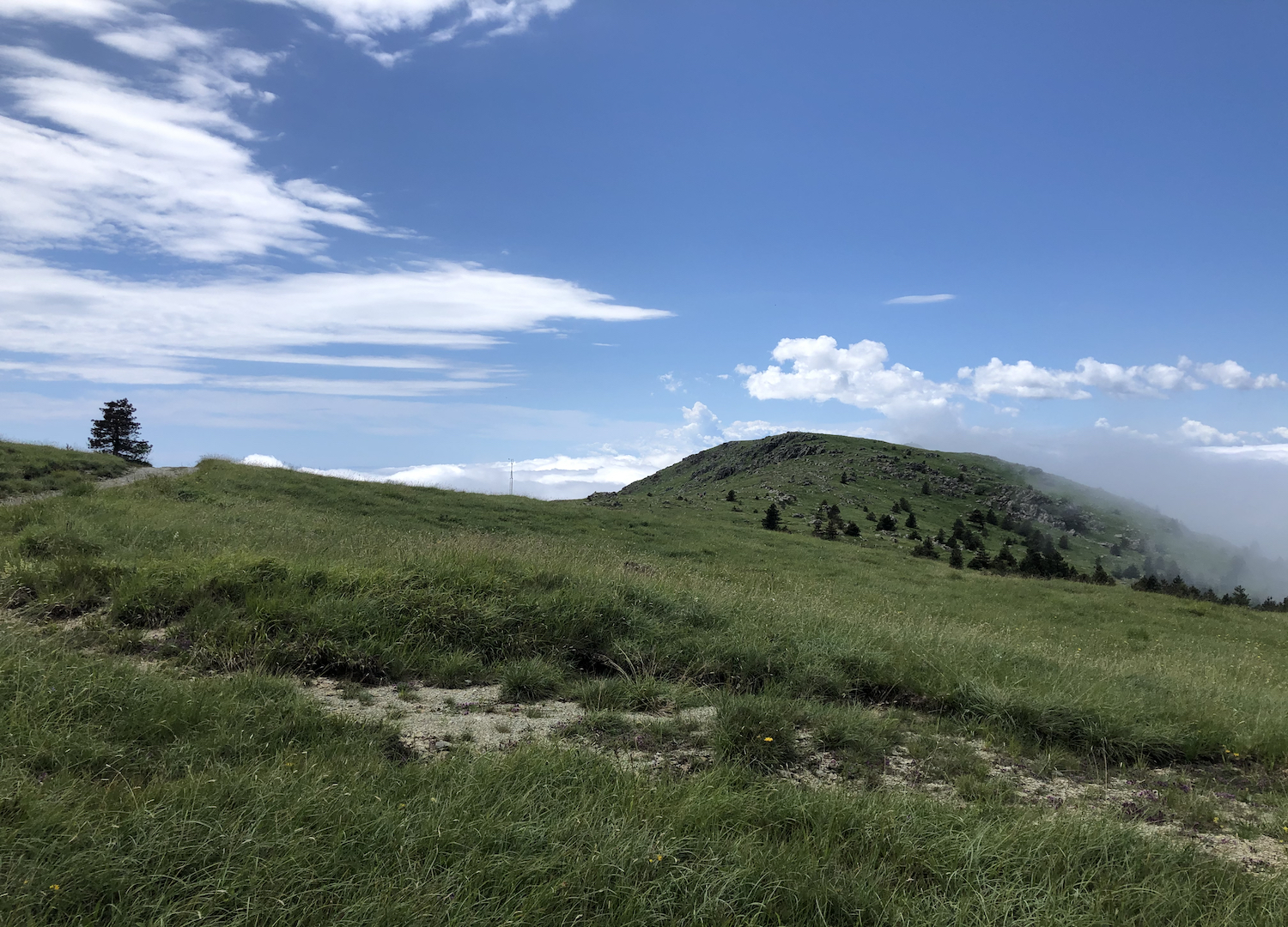 I dolci pendii che si sviluppano verso nord, appena di raggiunge il colle Gandolfi.