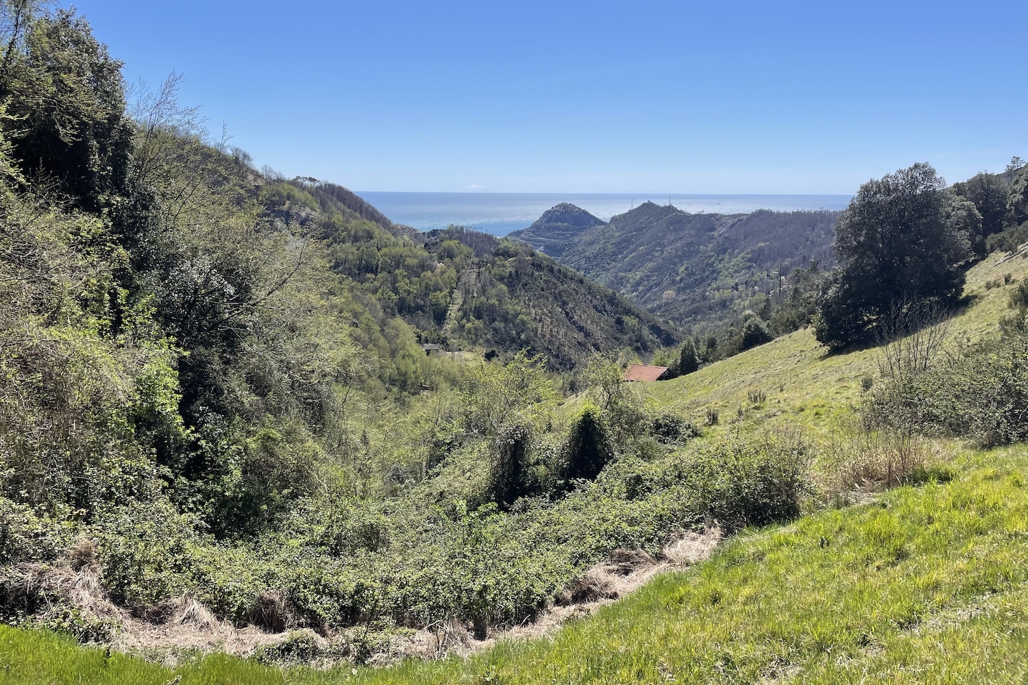 Il paesaggio rurale che si incontra camminando verso il monte Figogna.