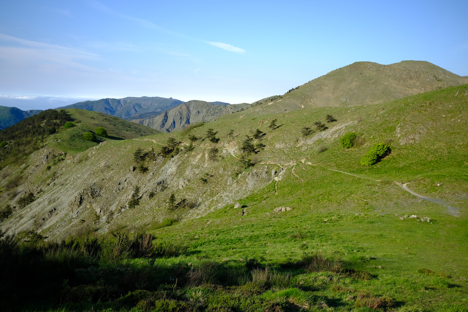 Praterie che conducono al monte Figne e Taccone.