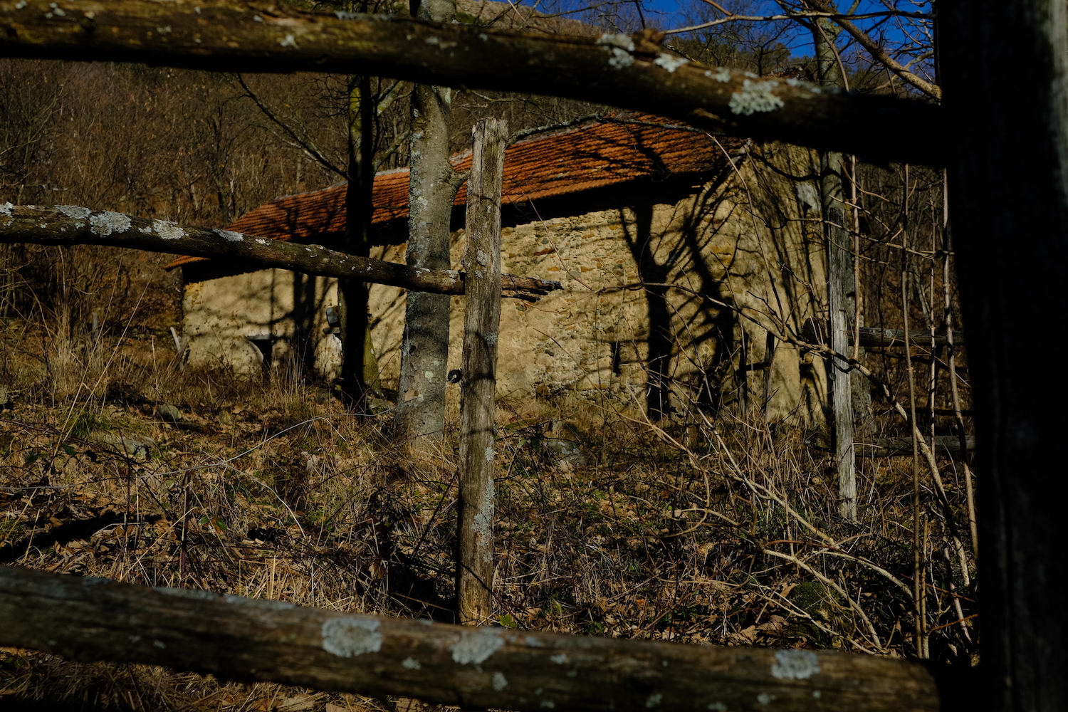 Nella boscaglia: cascina Menta, luogo dove i partigiani si riunivano.