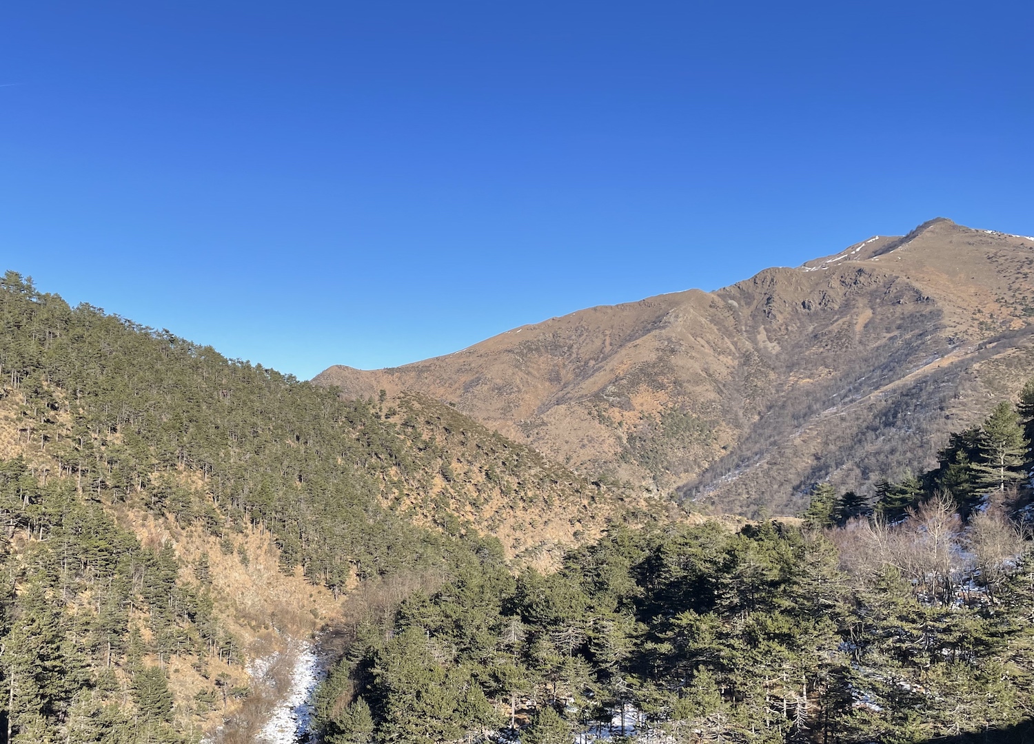 La selvaggia natura del parco delle Capanne di Marcarolo.