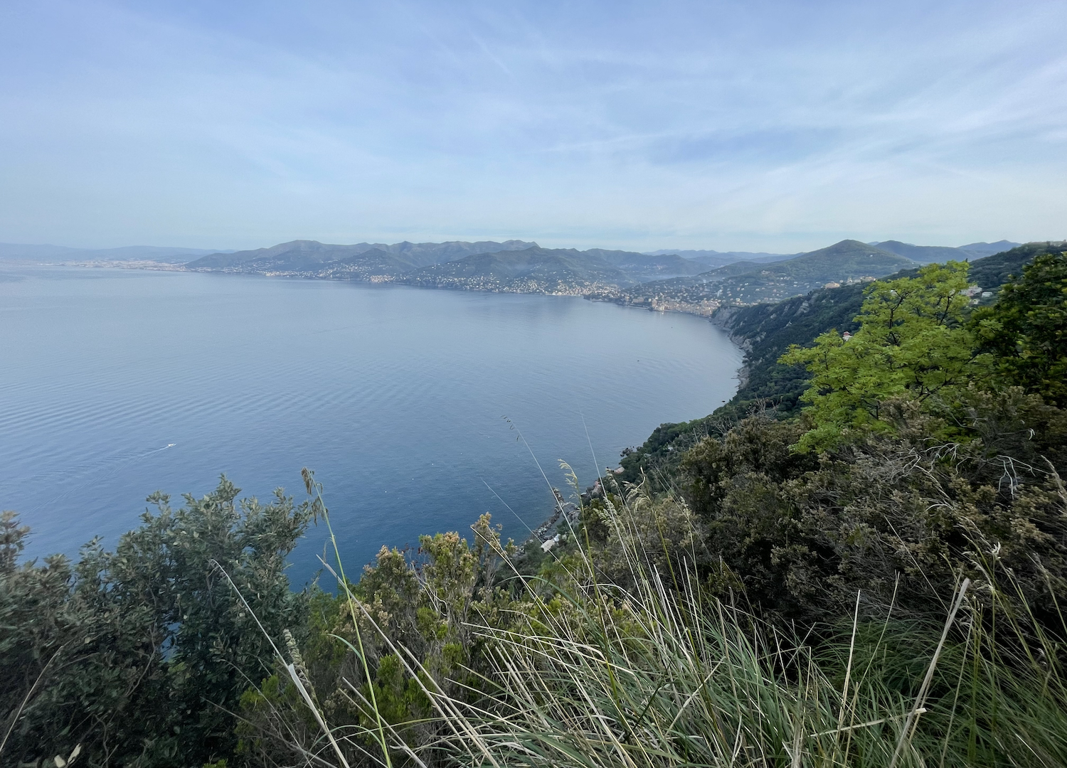 La costa ligure ammirata da San Rocco di Camogli.