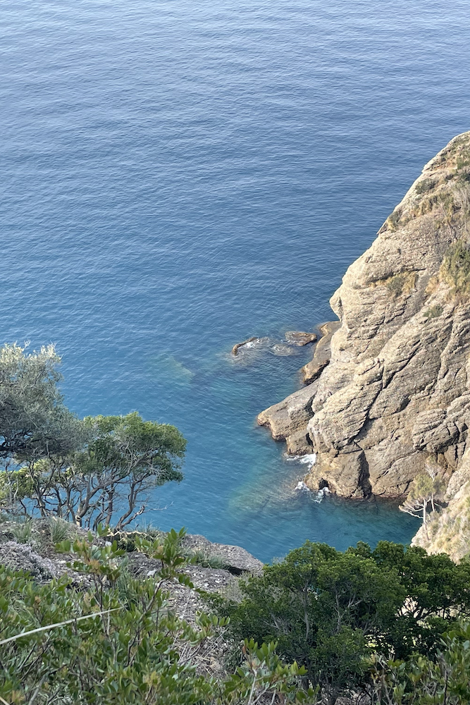 il sentiero, riservato ad escursionisti esperti, costeggia la falesia a picco sul mare del promontorio di Portofino.