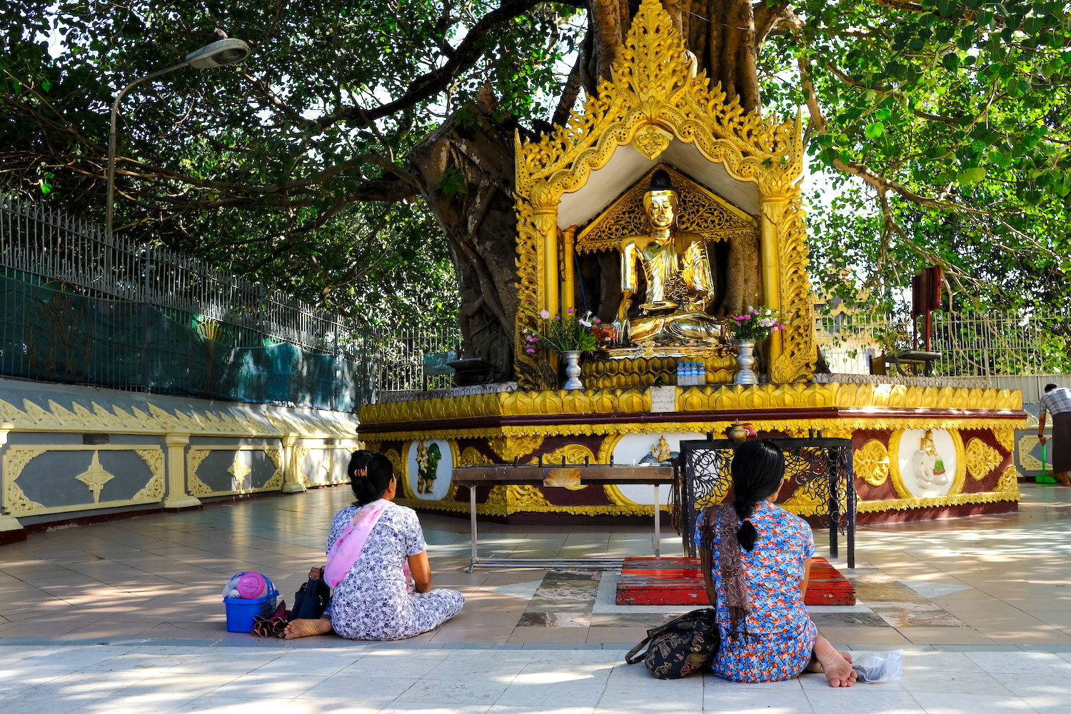 Raccolta alla preghiera sotto l'albero dell'illuminazione a Shwedagon.