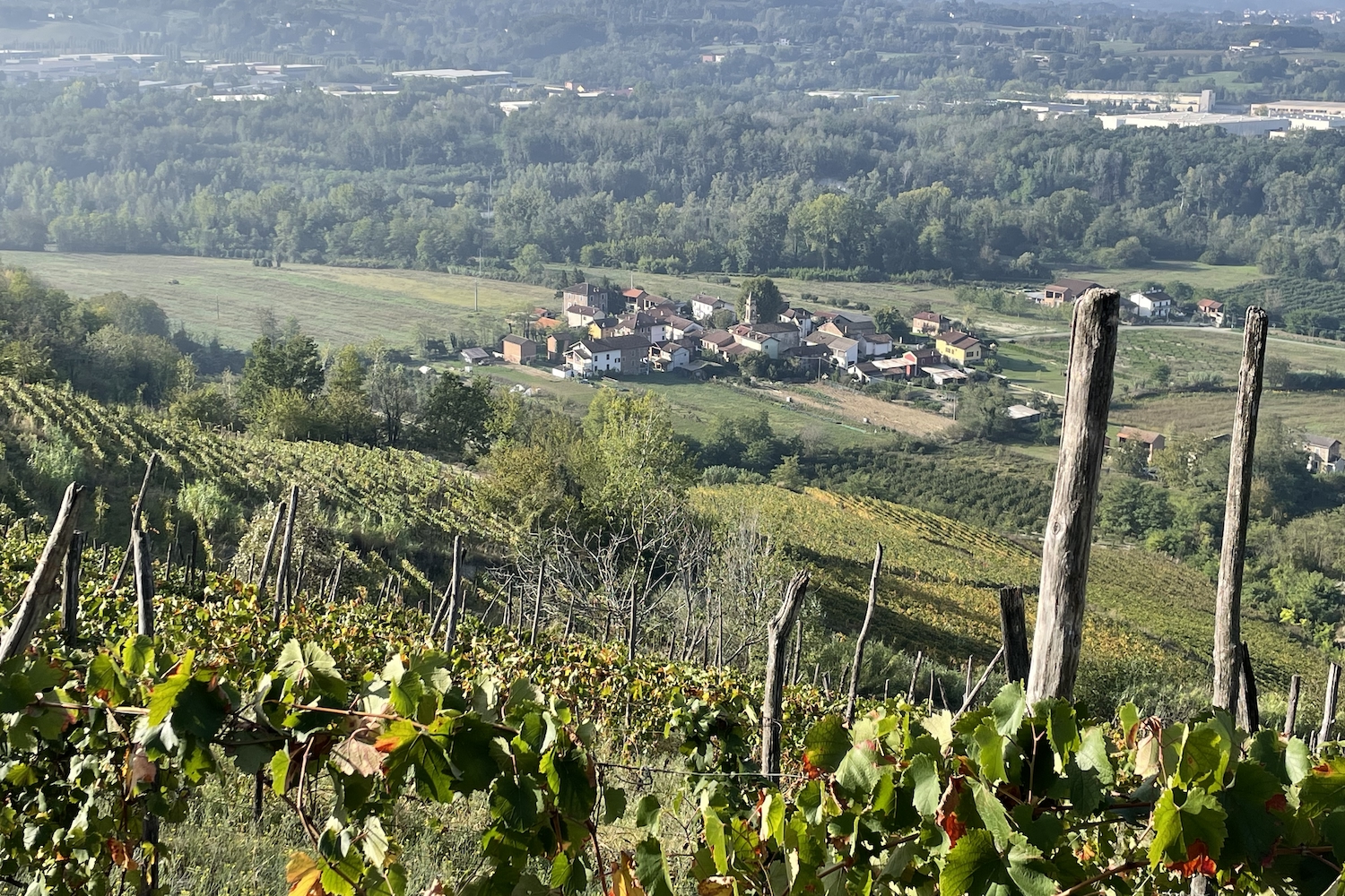 Il piccolo nucleo abitativo di Pieve.