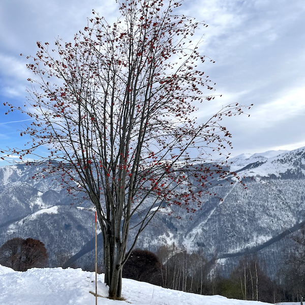 La prima neve a baita Elica