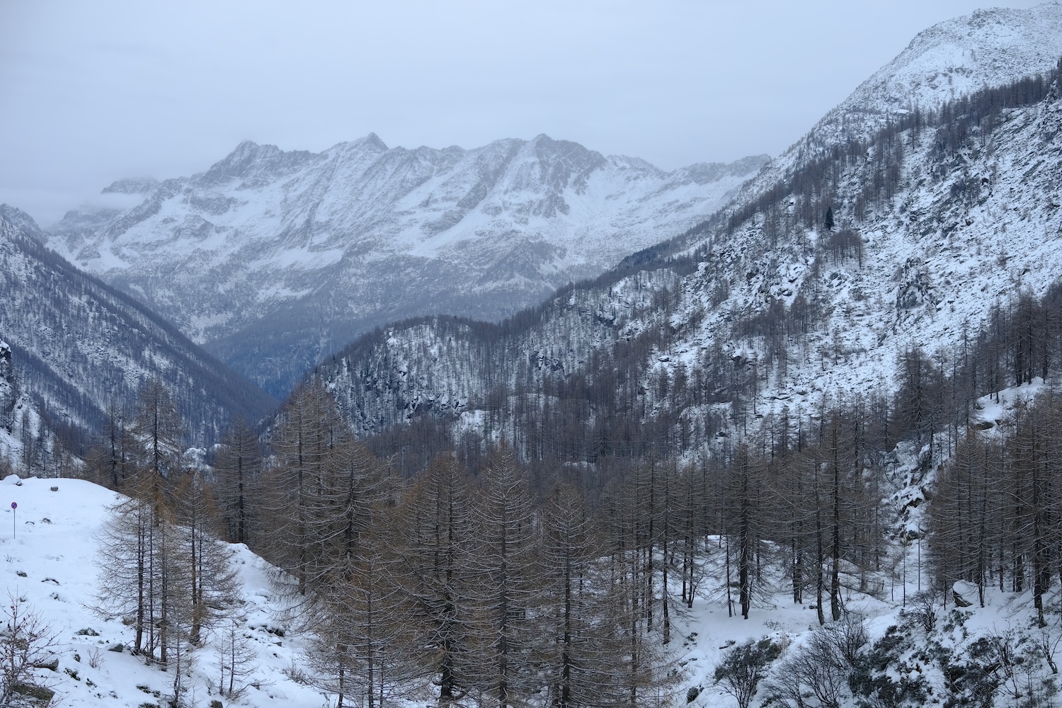 Il maestoso scenario alpino.